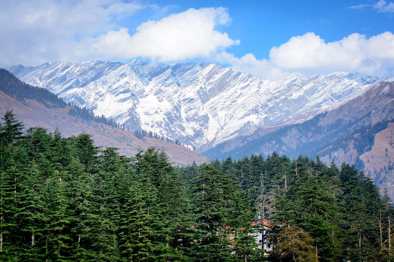 outdoor, scenery, no people, outdoors, trees, snowcapped mountain, scenics - nature, mountain, coniferous tree, quiet, plant, day, manali, top, growth