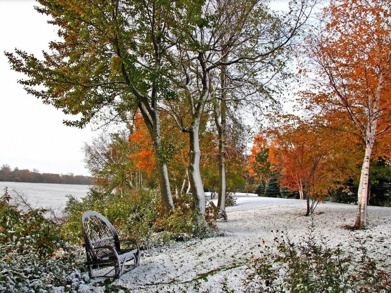 snow, 1080P, nature and landscapes, nature, early, autumn, time, trees, colorful
