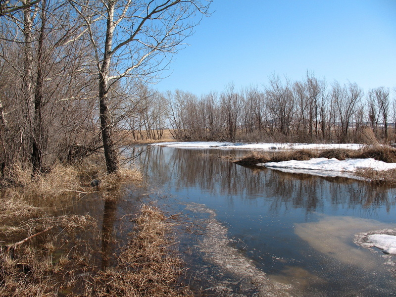 winter, tranquil scene, tranquility, reflection, 2K, bare tree, outdoors, snow, water, Dirt, plant, day, non-urban scene, tree, scenics - nature, beauty in nature