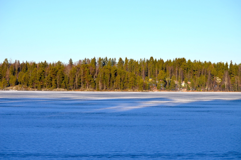 sky, pine tree, snow, water, finland, outdoors, plant, tree, tranquil scene, tranquility, coniferous tree, land, pine woodland, no people, woodland, frozen lake