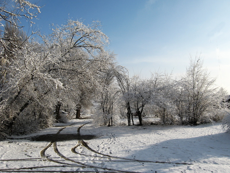 silence, snow, clouds, sky, cold, tree, land, outdoors, nature, tranquility, early morning, non-urban scene, dawn, cold temperature, leann, morning, 2K