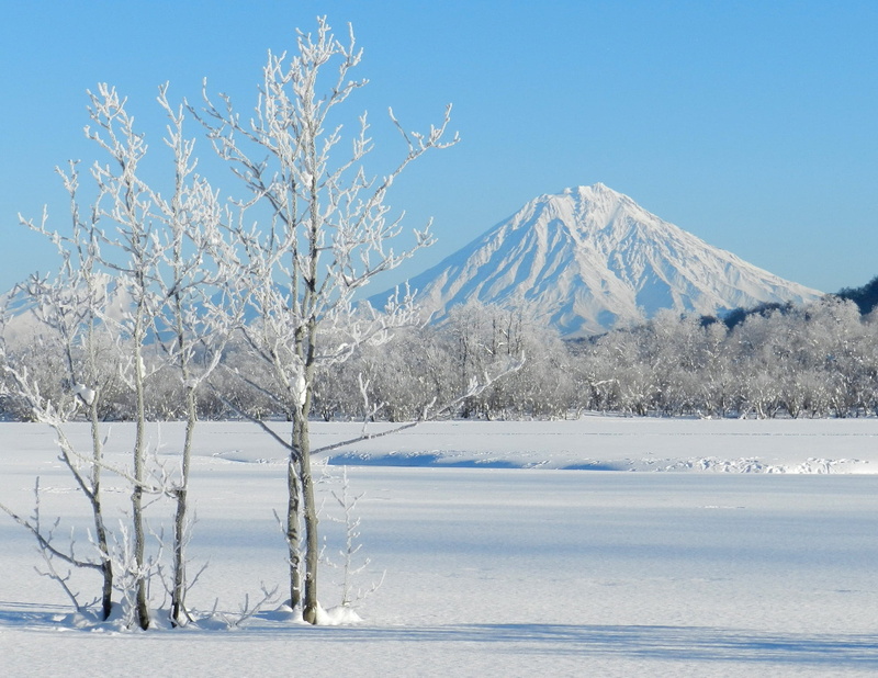 snowy mountains, mist, mountain peak, tranquil scene, white color, covered, sky, tree, cold, snow, tundra, trees, non-urban scene, forest, winter forest
