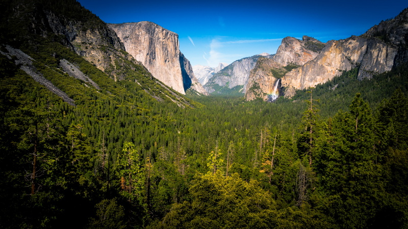 mountain peaks, forest, trees, green, travel, capitan, nature, bird, formation, woods, land, scenic, hike, coniferous tree, conifer, fall, no people, yosemite