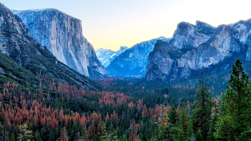 tranquility, land, mountain, national park, wilderness, plant, forest, valley, yosemite valley, leaf, outdoors, usa, california, non-urban scene, scenics - nature