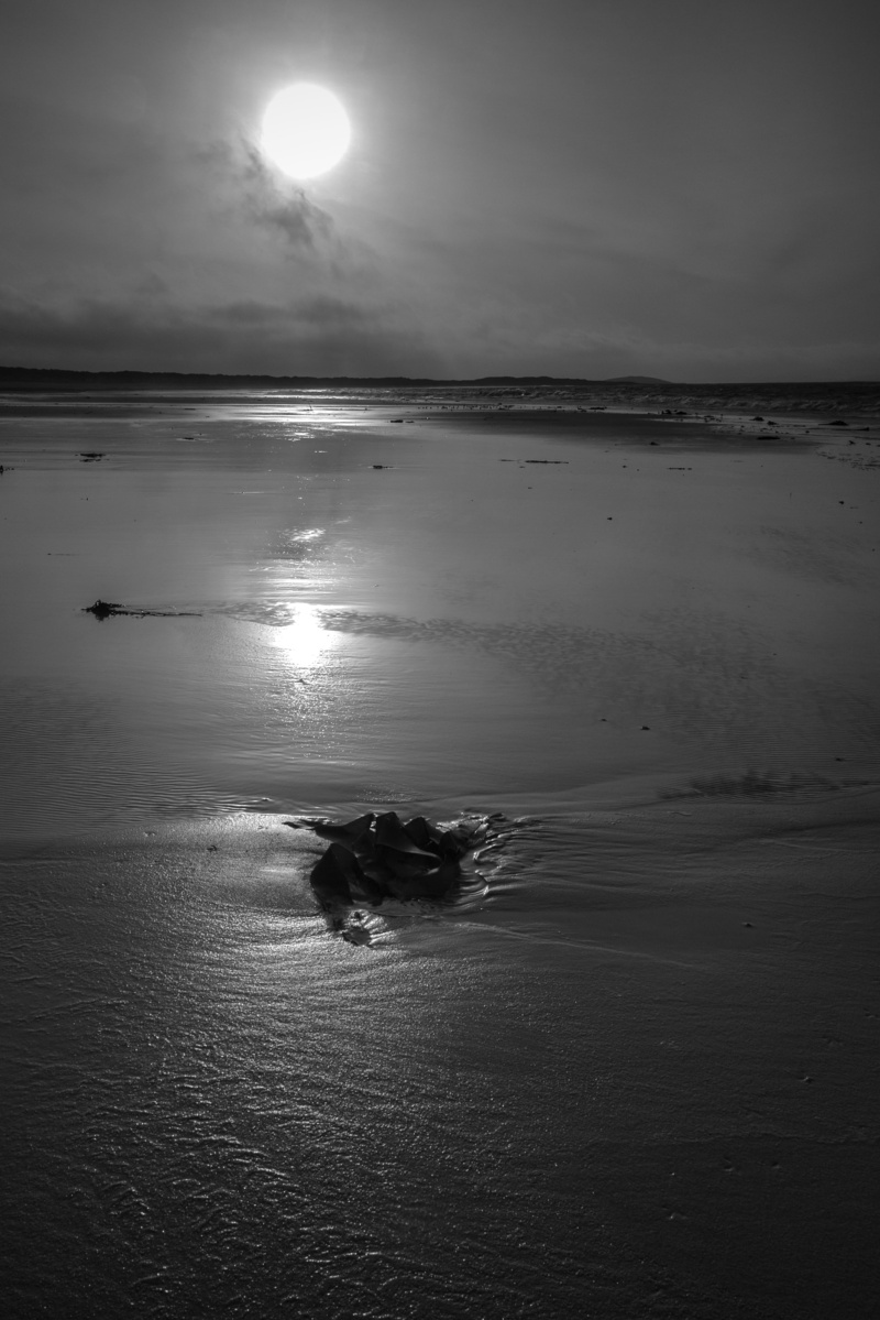 horizon over water, outdoors, bandw, land, black and white, sea, people, beauty in nature, sky, tranquil scene, scenics - nature, nature, horizon, beach