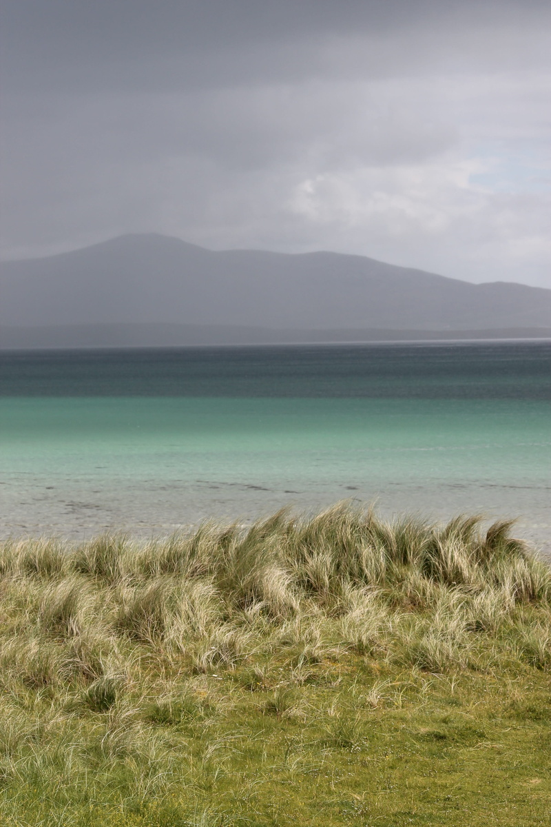 tranquility, non-urban scene, environment, plant, berneray, nature, mountain, 4K, scenics - nature, timothy grass, grass, day, scotland, sky, beauty in nature
