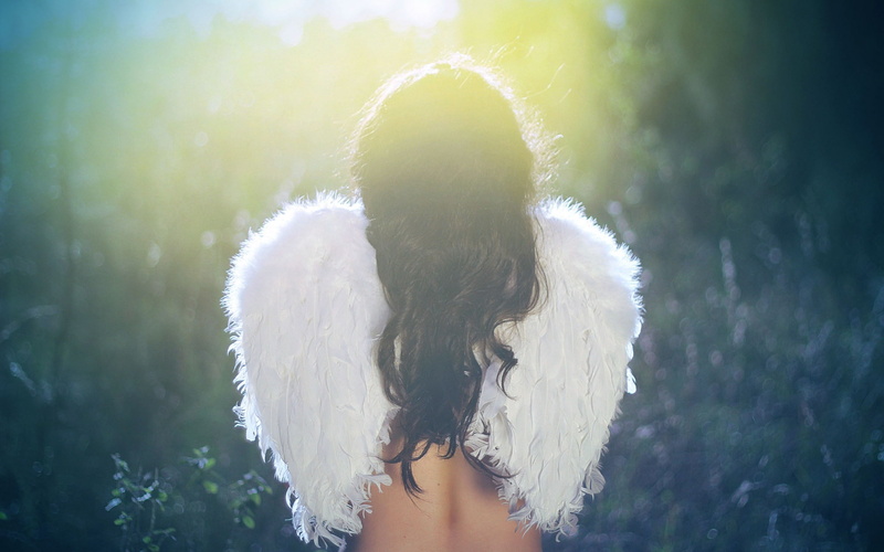white color, back lit, costume wing, lens flare, young adult, day, sunlight, one person, hair, standing, angel, rear view, hairstyle, 1080P, women, angel cool pictures