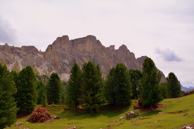 solid, landscape, odle, coniferous tree, formation, evergreen tree, tranquility, odle group, land, sky, nature, mountain, scenics - nature, rock, tree