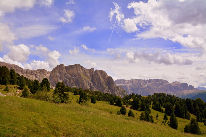plant, land, odle group, environment, mountain range, coniferous tree, mountain, italy, day, tree, tranquility, nature, clouds, 5K, outdoors, landscape
