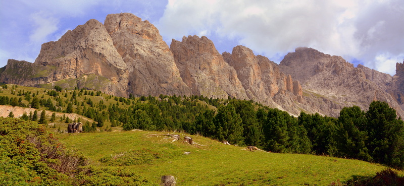 tree, travel, activity, coniferous tree, plant, pine tree, 5K, scenics - nature, sky, rock, clouds, nature, prato, landscape, cloud - sky, pine woodland