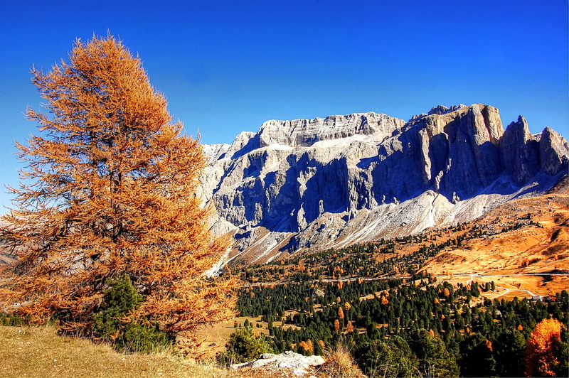 vision, mountain, woodland, val gardena yoke, brown, outlook, bergtour, alpine, tranquility, rock, sky, landscape, blue sky, mountain range, no people