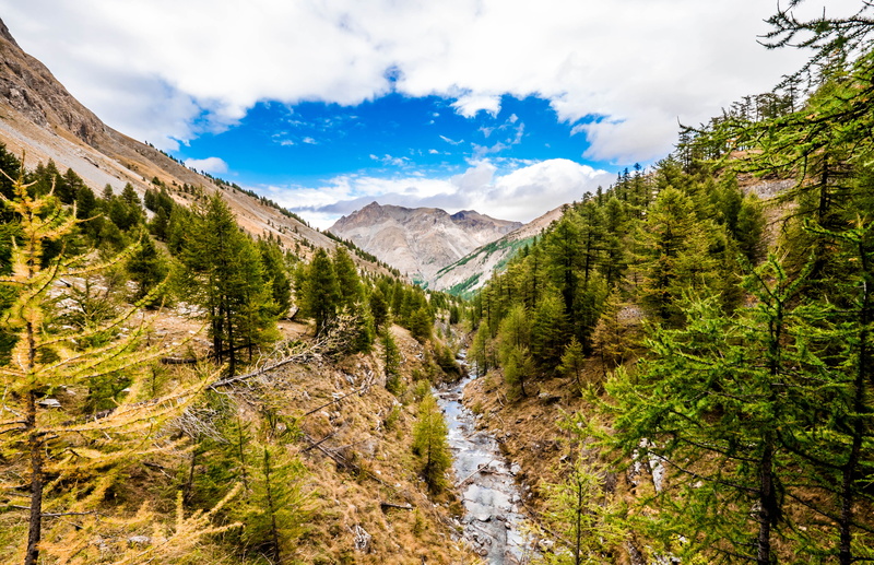 tree, woods, trees, 4K, landscape, outdoors, wilderness, sky, land, environment, scenics - nature, stream, tranquil scene, wide angle, green color, mountain