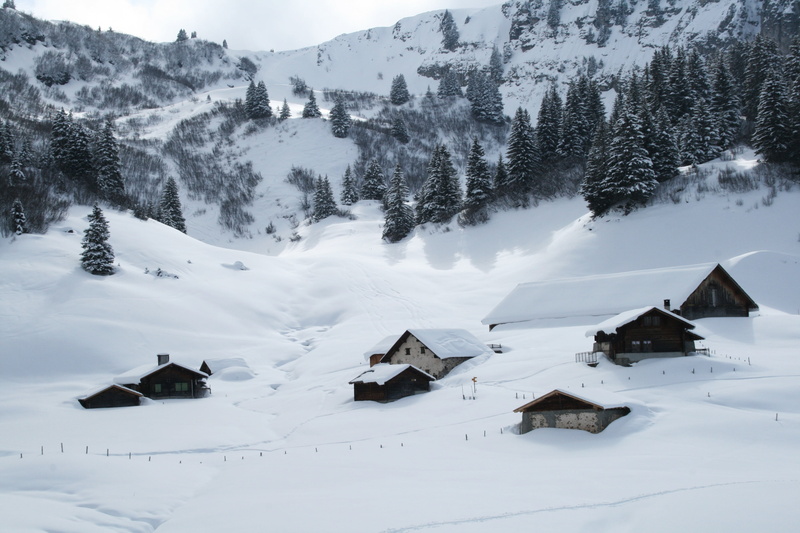 no people, cold - Temperature, nature, field, building, houses, brown, snow, forest, sun, 4K, tranquility, ice, cottage, built structure, tranquil scene