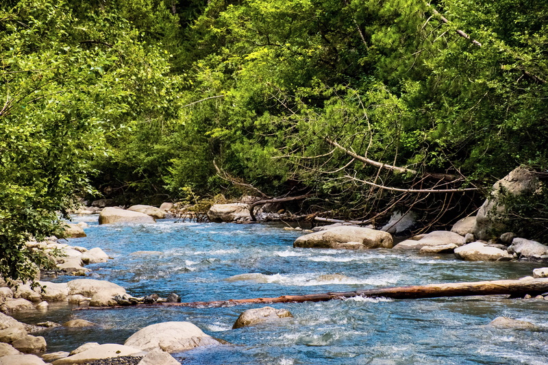 water, wild, europe, greenery, rock, no people, south of france, alpine, plant, 5K, scenery, flowing, france, green color, wilderness, stream, blue, land