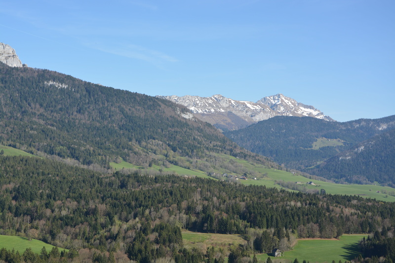 coniferous tree, haute-savoie, scenics - nature, panorama, snow lord, mont blanc, idyllic, nature, land, forest, 5K, landscape spring, calm, sky, hiking