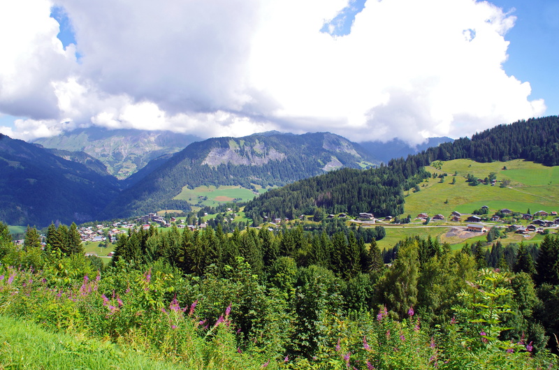 landscape, outdoors, range, summer, alps, environment, growth, hiking, altitude, no people, tree, cloud - sky, sky, panorama, scenics - nature, plant, meadow
