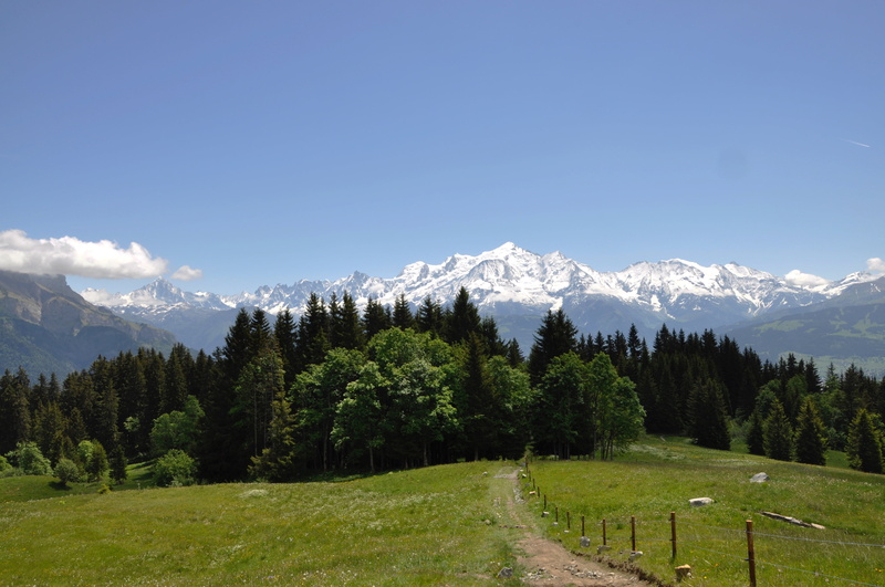 beauty in nature, mountain, tree, environment, outdoors, snowcapped mountain, sky, pine tree, barrier, cold temperature, nature, land, snow, scenics - nature