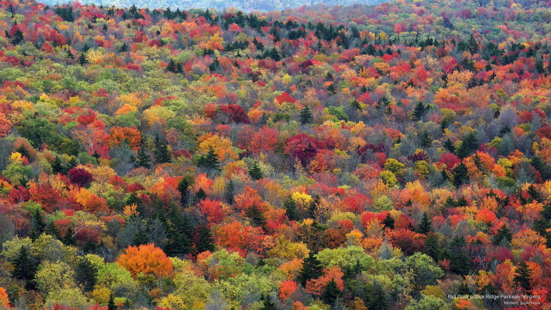blue, ridge, virginia, Fall, colors, parkway, 2K