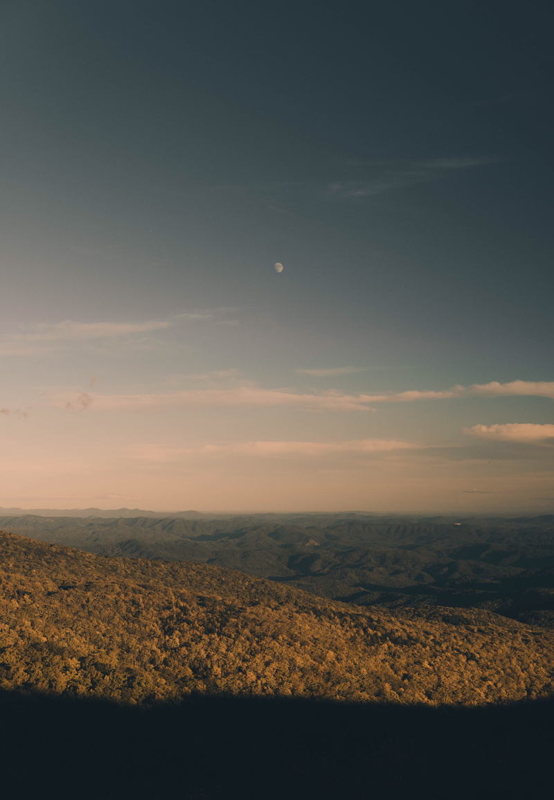 plant, beauty in nature, sunset, sky, non-urban scene, cloud - sky, environment, field, blue ridge parkway, tranquility, tranquil scene, land, no people
