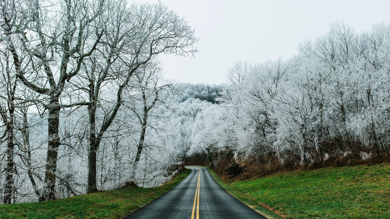 grass, landscape, Blue Ridge Parkway, nature, Virginia, forest, road, USA, 1080P, trees