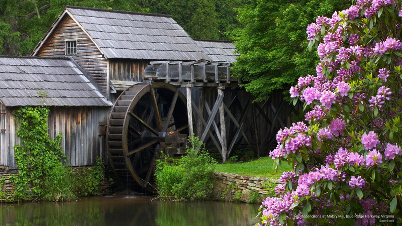 blue, mabry, mill, Architecture, parkway, ridge, virginia, 2K, rhododendrons