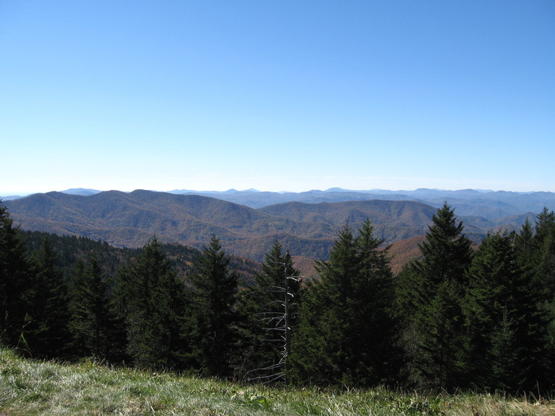 no People, environment, blue, mountain, clear, non-urban scene, tree, coniferous tree, Blue Ridge, tranquil scene, beauty In Nature, sky, mountains, evergreen
