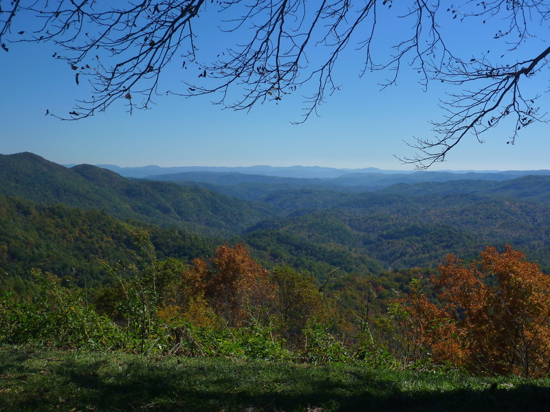 blue ridge mountains, idyllic, environment, nature, mountain, sky, scenic, outdoors, day, scenics - nature, beauty in nature, growth, landscape, tranquility