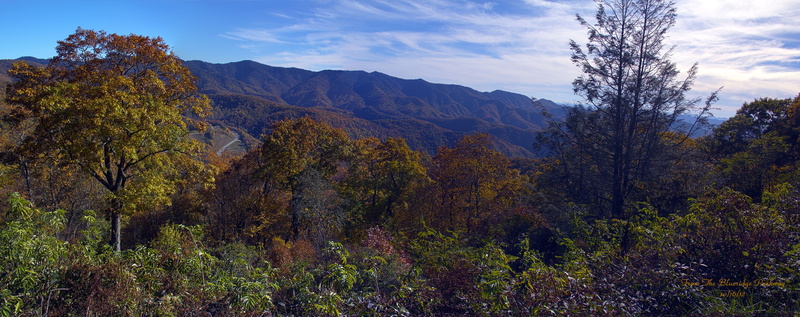plant, nature, forest, autumn, travel destinations, cloud - sky, no people, pine woodland, land, mountain, pinaceae, landscape, semi-arid, outdoors, tranquility
