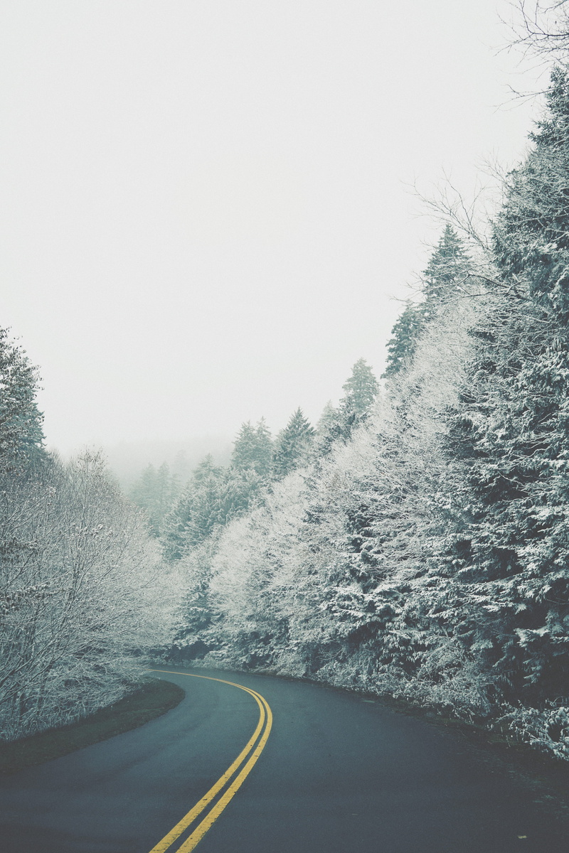 no people, outdoors, asphalt, trees, transportation, nature, abies, double yellow line, conifer, snow, direction, the way forward, dividing line, road