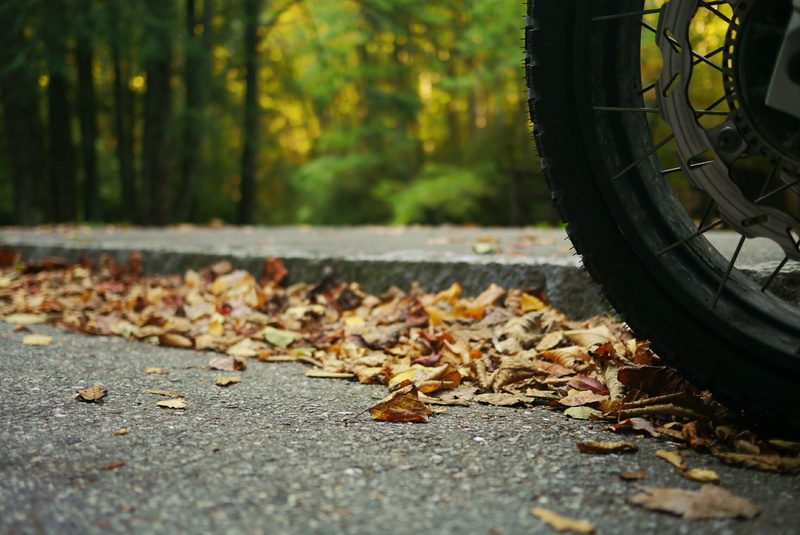 leaf, tire, plant part, spoke, 1080P, mode of transportation, fall, trees, road, change, day, tyre, leaves, pavement, no people, land vehicle, wheel, natural condition