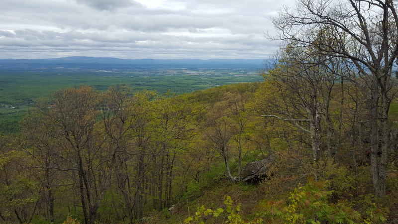 non-urban scene, valley, idyllic, tranquility, day, land, tranquil scene, vista, outdoors, tree, blue ridge, environment, united states, sky, trees, afton