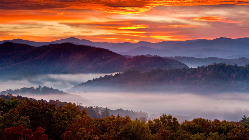 1080P, mist, Tennessee, landscape, Smoky Mountains, trees, nature, USA, sunrise, clouds, mountains