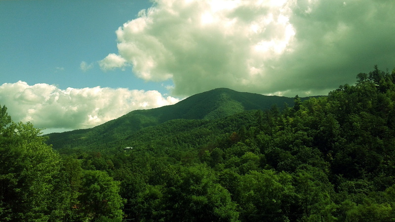 sky, nature, plant, beauty in nature, foliage, environment, green color, time, land, no people, Smoky Mountains, landscape, forest, lush foliage, scenics - nature