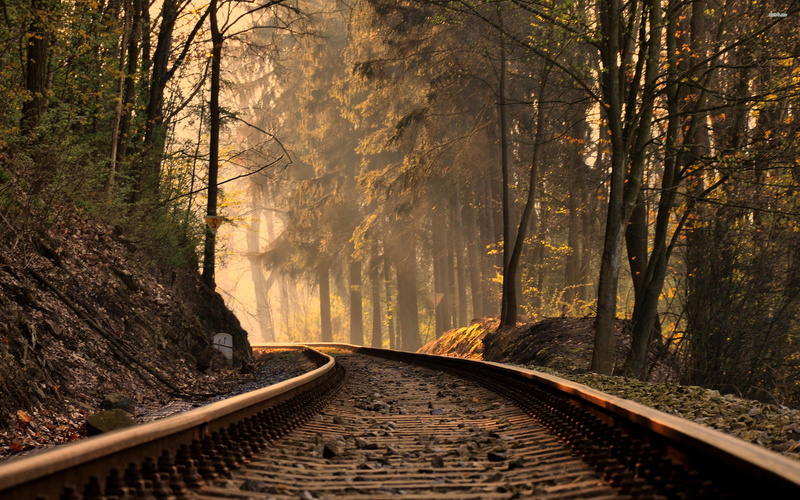 fir, smokey mountain cabins, photography, tree, smoky mountain railroad, railroad, smokey mountain, 2880x1800, Forest, great smoky mountain railroad, Mountain