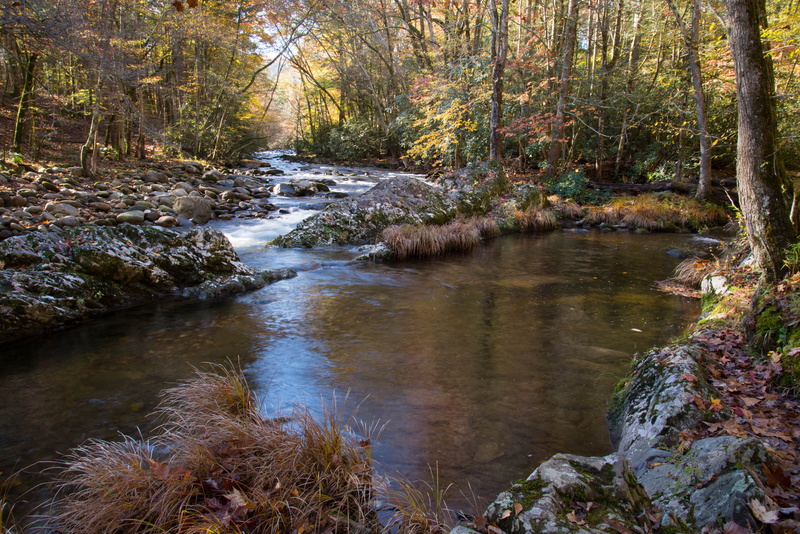 day, tree, Smoky Mountain National Park, flowing, land, forest, nature, rock - object, stream - flowing water, beauty in nature, flowing water, outdoors