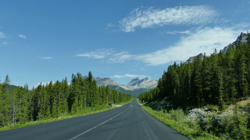 scenics - nature, transportation, cloud - sky, mountain, roadway, concrete, pine tree, forest, natural, national, gray, the way forward, diminishing perspective