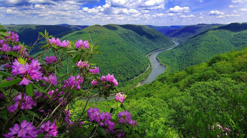 state park, mountain, landscape, growth, plant, tree, scenics - nature, land, beauty in nature, springtime, no people, 1080P, tranquility, united states