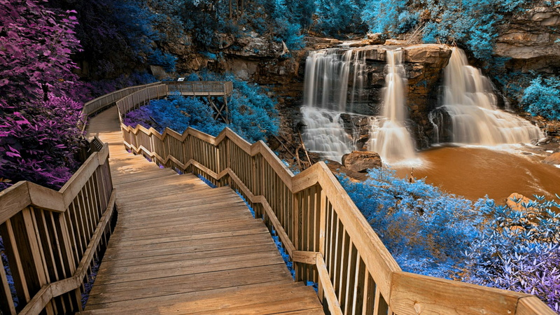 west virginia, water, davis, state park, 4K, body of water, plant, blackwater falls, usa, waterfall, blackwater falls state park, chute, stairs, nature