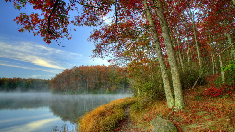 virginia, west, forest, 1080P, hdr, mist, babcock, nature and landscapes, park, lake, state