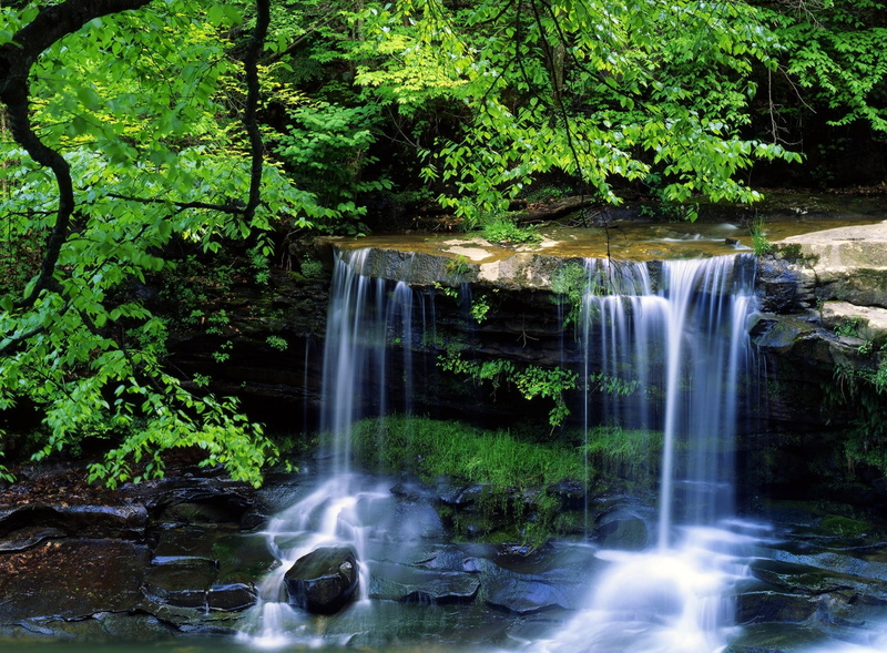 motion, gorge, new, forest, 1080P, stream - flowing water, united states, scenics - nature, wv, virginia, West Virginia, beauty in nature, River, power in nature