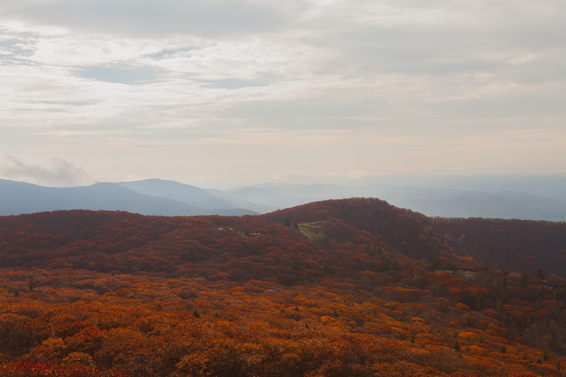 hiking, sky, nature, idyllic, 5K, red, united states, mountain, day, tranquility, tree, landscapes, environment, view, sunset, landscape, land, plant