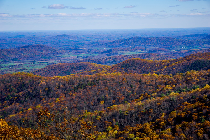 valley, high angle view, trees, scenics - nature, beauty in nature, no people, horizon, tree, day, change, color, tranquility, idyllic, 5K, nature, fall