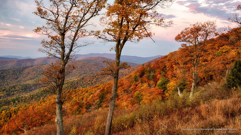 shenandoah, 2K, autumn, National Parks, park, evening, virginia, national