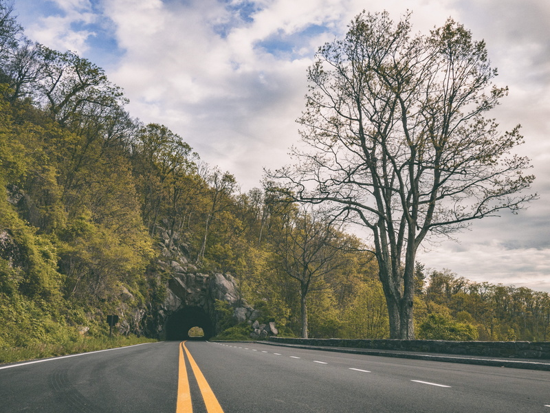 sky, leading, route, beauty in nature, country road, skyline drive, change, cloud - sky, covered, double yellow line, shenandoah national park, tree, direction