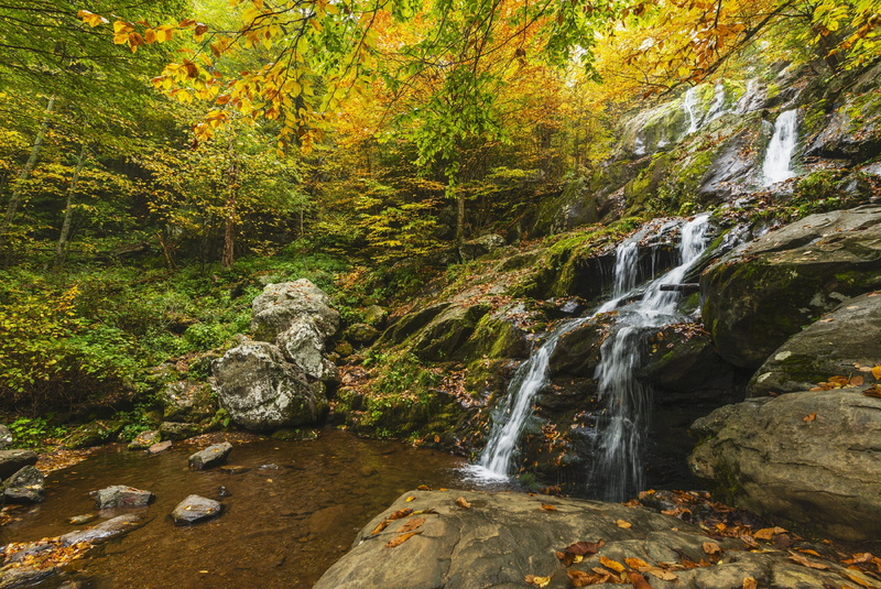 rainforest, dark hollow falls, falling water, 2K, rock, wilderness, virginia, forest, non-urban scene, blurred motion, waterfall, power in nature, autumn
