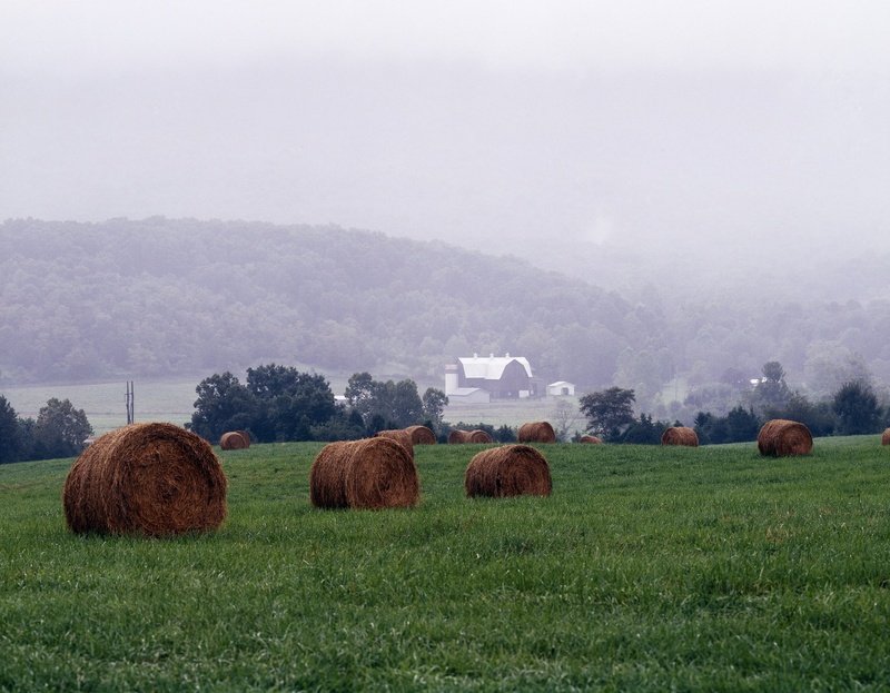 landscape, scenic, foggy, rural scene, tranquil scene, quiet, beauty in nature, field, sky, shenandoah valley, plant, tranquility, land, gray, scenics - nature