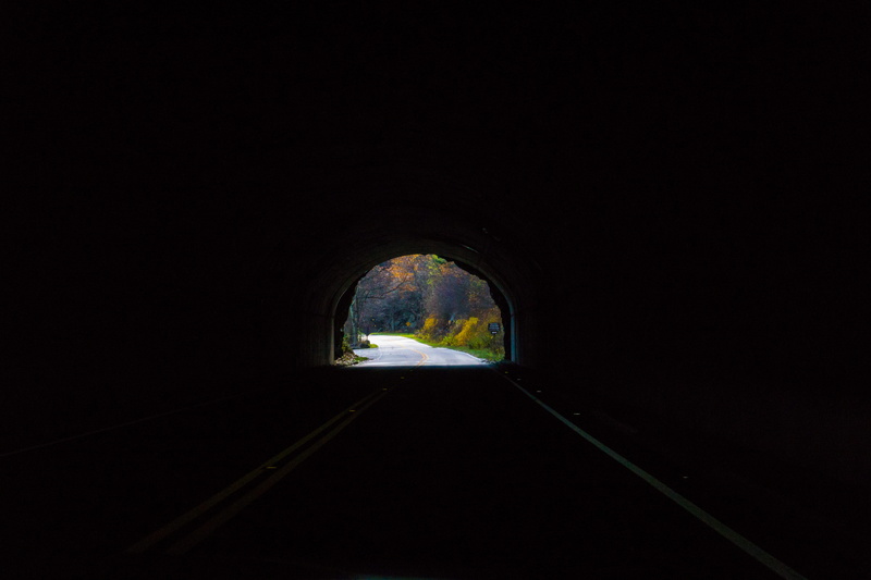 travel, copy space, hole, silhouette, tree, journey, direction, nature, tunnel, forest, dark, entrance, light at the end of the tunnel, the way forward