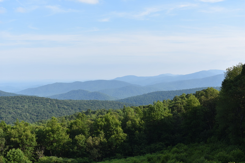 virginia, trees, day, scenics - nature, mountain range, shenandoah, scenic, green color, mountain, outdoors, park, america, hike, tourism, national, sky