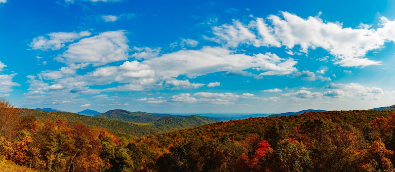 growth, day, panorama, plant, daytime, autumn, environment, mountain, 1080P, scenics, shenandoah valley, non-urban scene, no people, rural, mountains