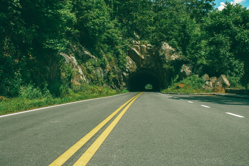 tunnel, day, direction, double yellow line, diminishing perspective, the way forward, sign, asphalt, symbol, marking, forest, 5K, beauty in nature, outdoors